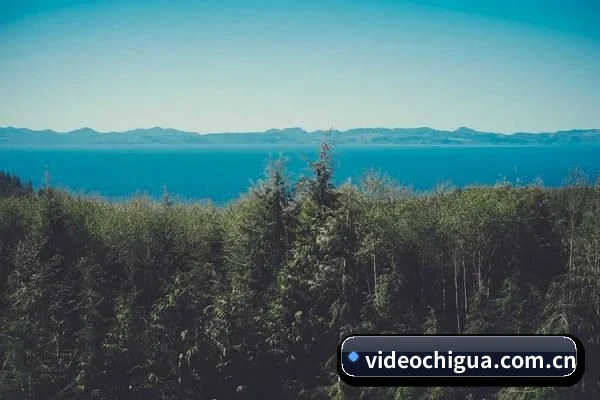 智能鉴瓜升级